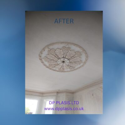 Match Existing Ceiling 1