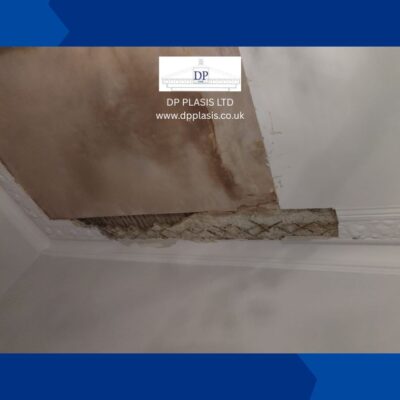 Match existing cornice (1)