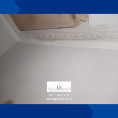 Match existing cornice (3)