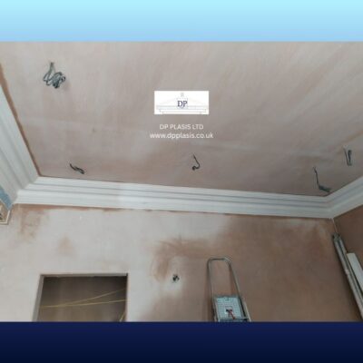 Next project (3)