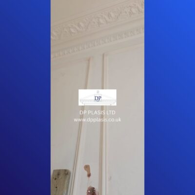 Panel moulding with cornice (2)